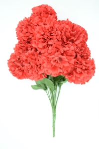 Red Carnation Bush x12  (Lot of 1) SALE ITEM